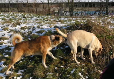 050214-065-1--1633-05