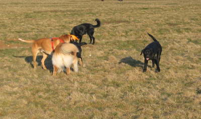 050313-003-1--1718-00