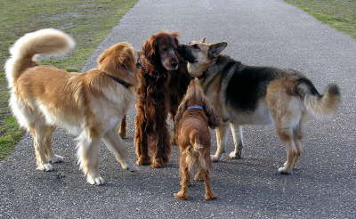 050319-036-1--1714-17