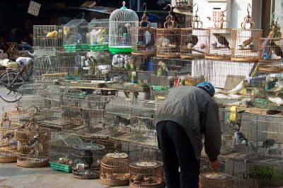 2000-10-05-031228-071