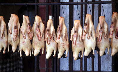 2003-02-02-120550-330