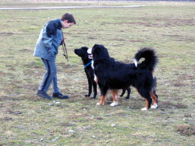 Der Luciano ist echt klasse, oder