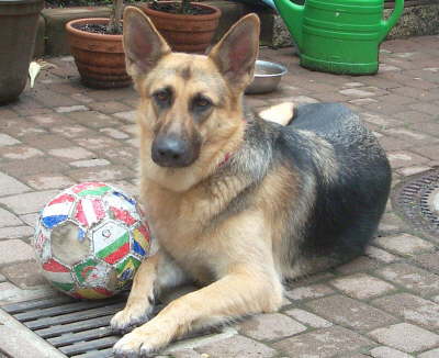 Gina, soccer star