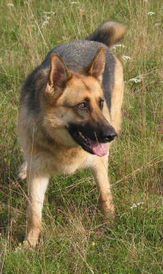 Gina's favourite playground