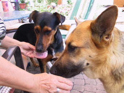 Having a little snack