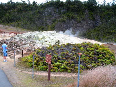 Volcano Park, Big Island