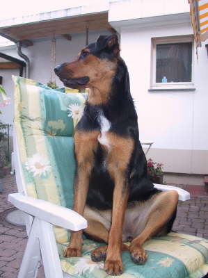 Is it real comfortable