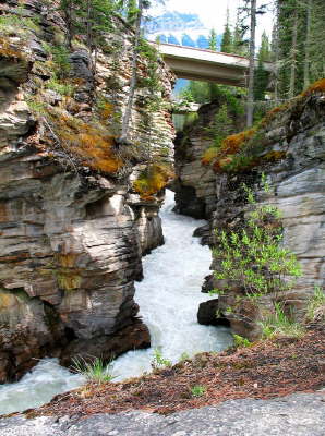 Athabasca Falls