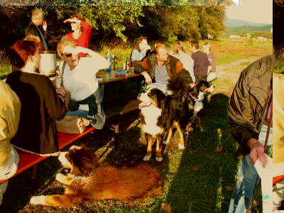 Wir haben noch Hunger !!!