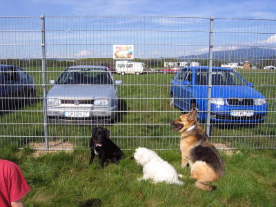 db_050430-103-1636-251