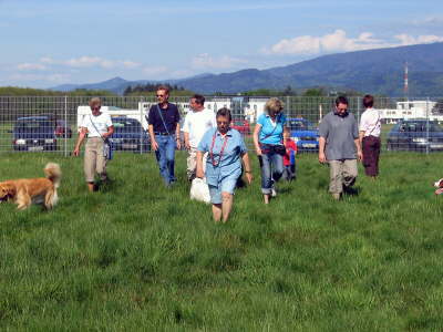 db_050430-105-1639-421