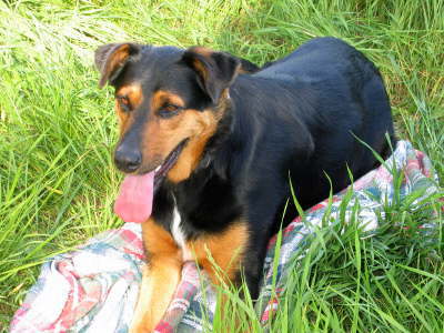 db_050430-108-1701-311