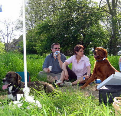 db_050430-110-1718-301