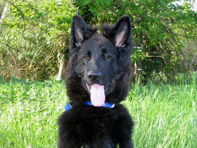 db_050430-122-1745-081