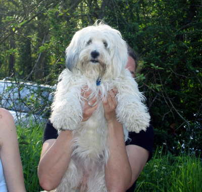 db_050430-138-1839-311